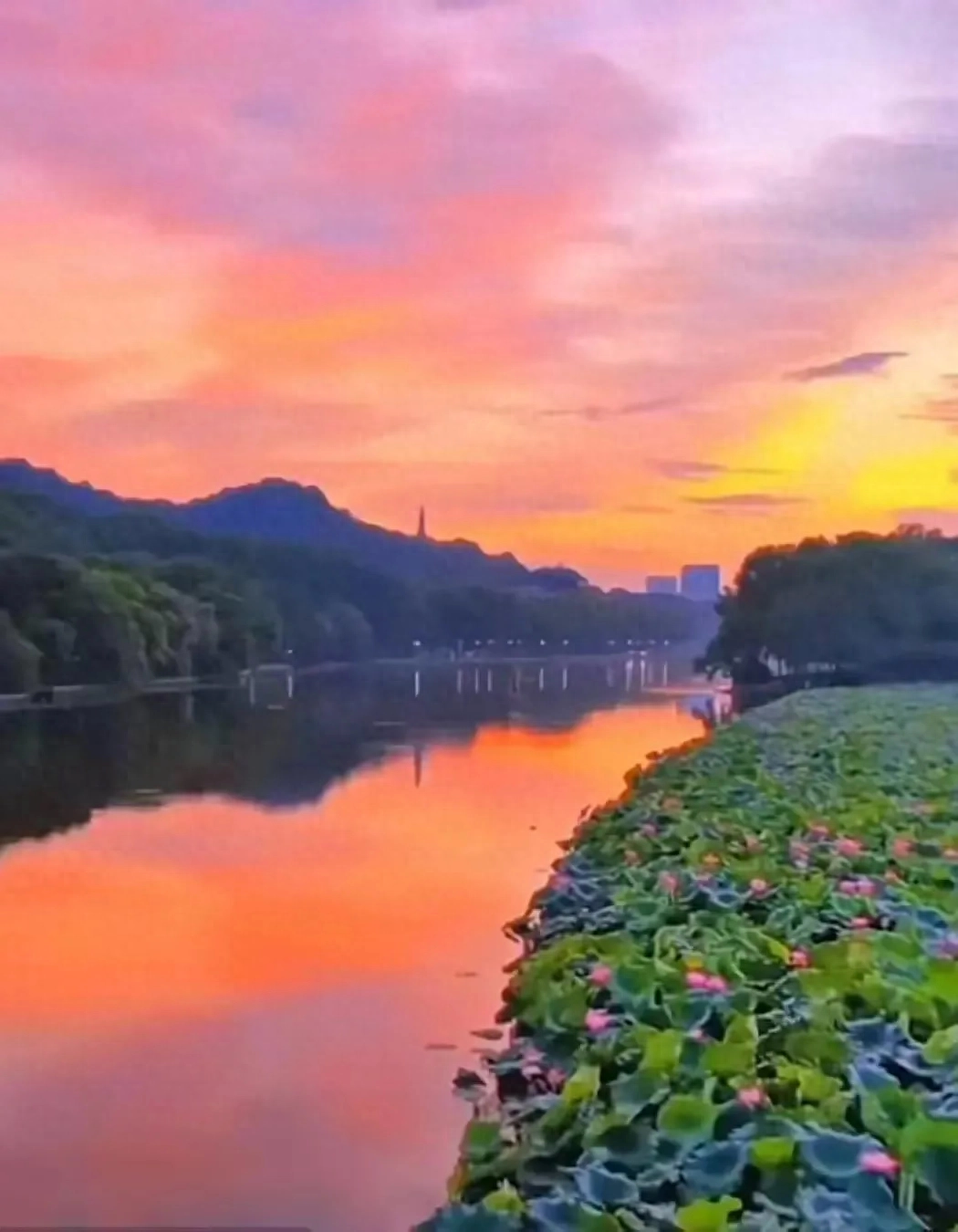 相信自己，无惧风雨，人生终是艳阳天。(图2)