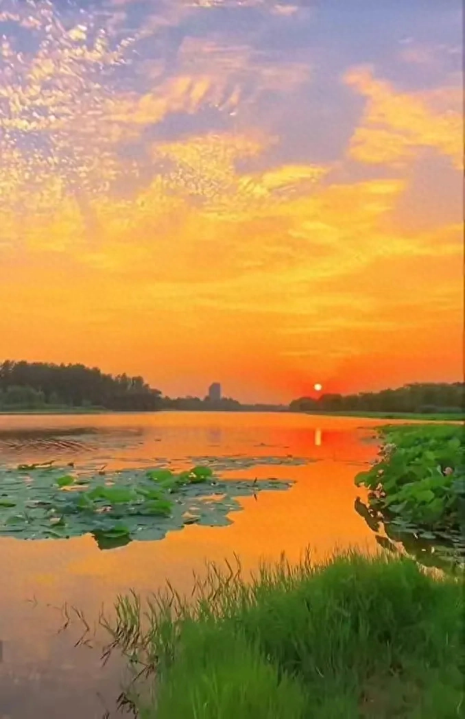 相信自己，无惧风雨，人生终是艳阳天。(图3)