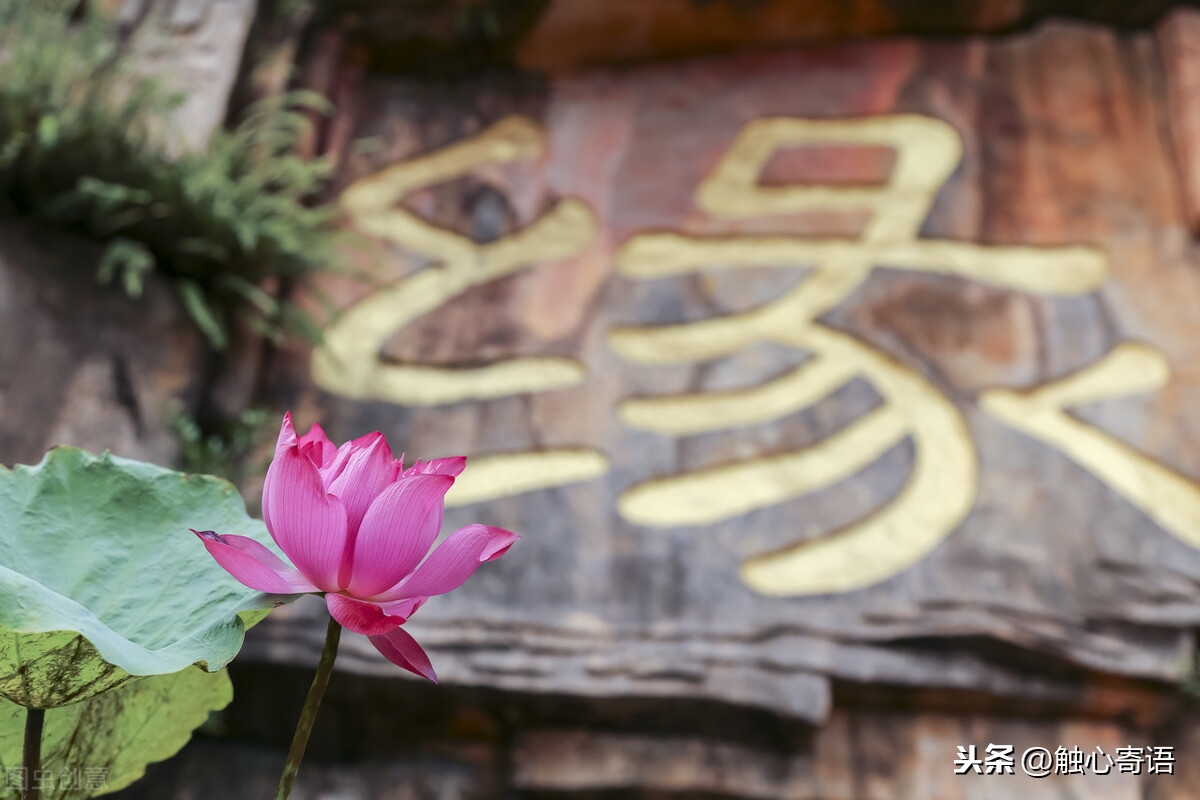 相识是缘，相知是缘，缘来如梦，缘散如风(图1)