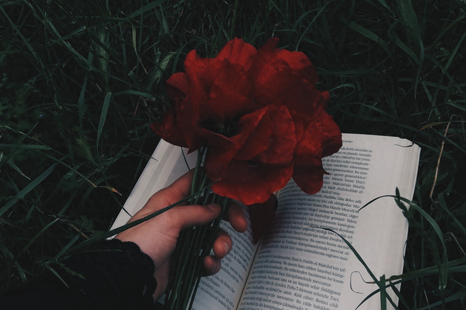 入心的情人，一生难忘(图1)