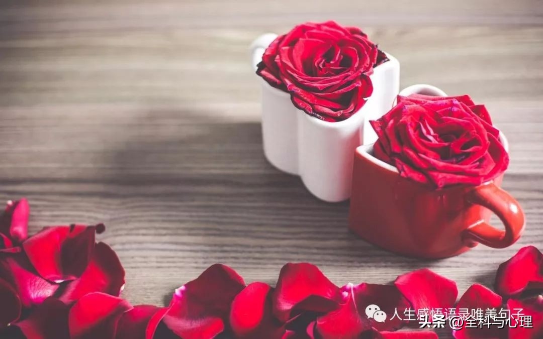 唯美的句子说说心情(图1)