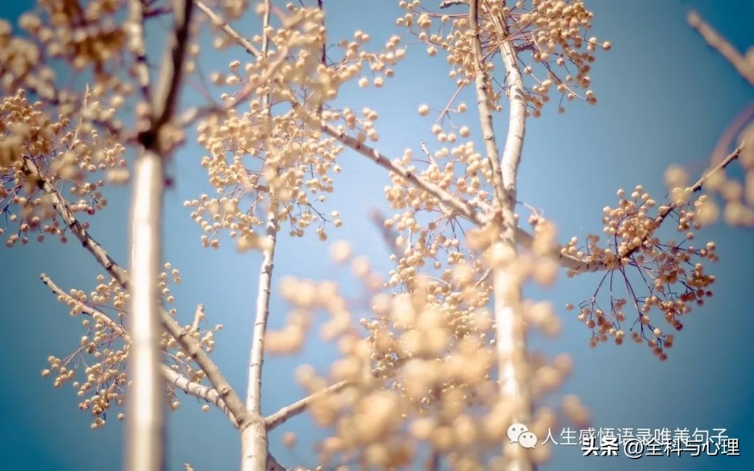 唯美的句子说说心情(图2)