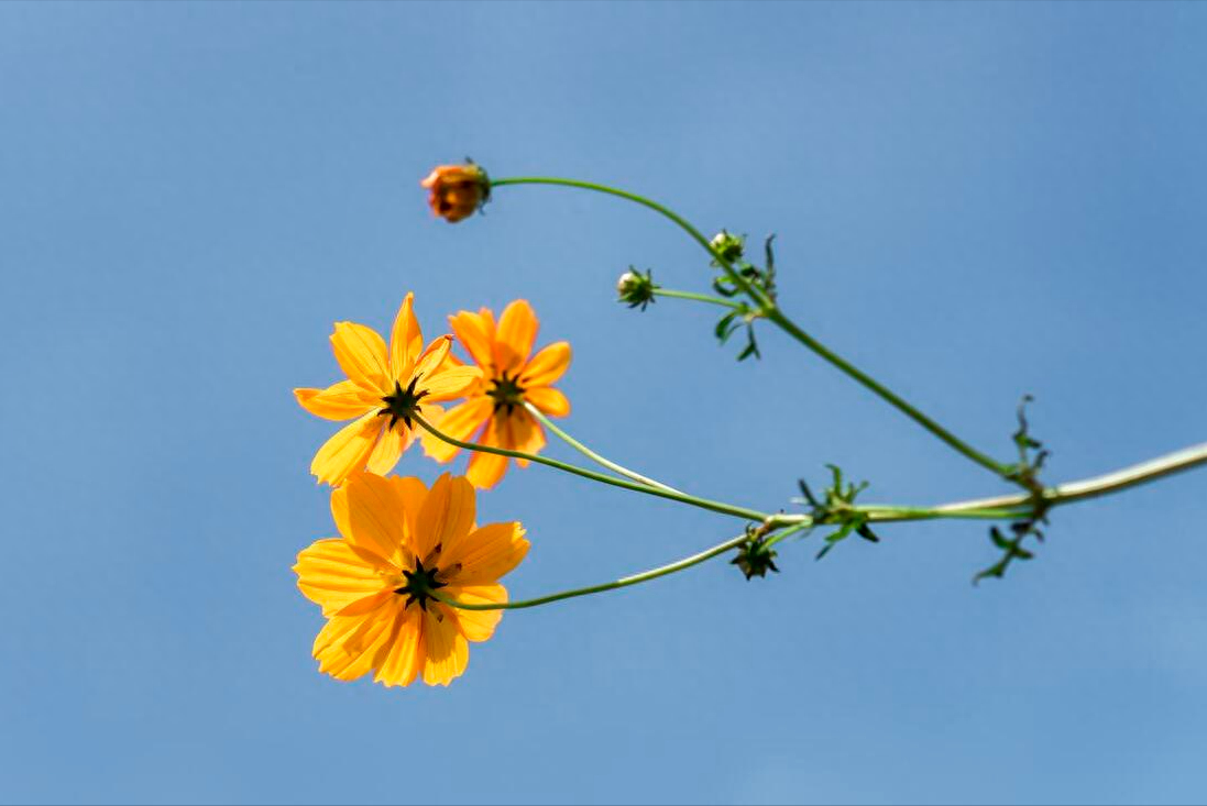 有一种幸福，叫今生有你，不离不弃(图3)