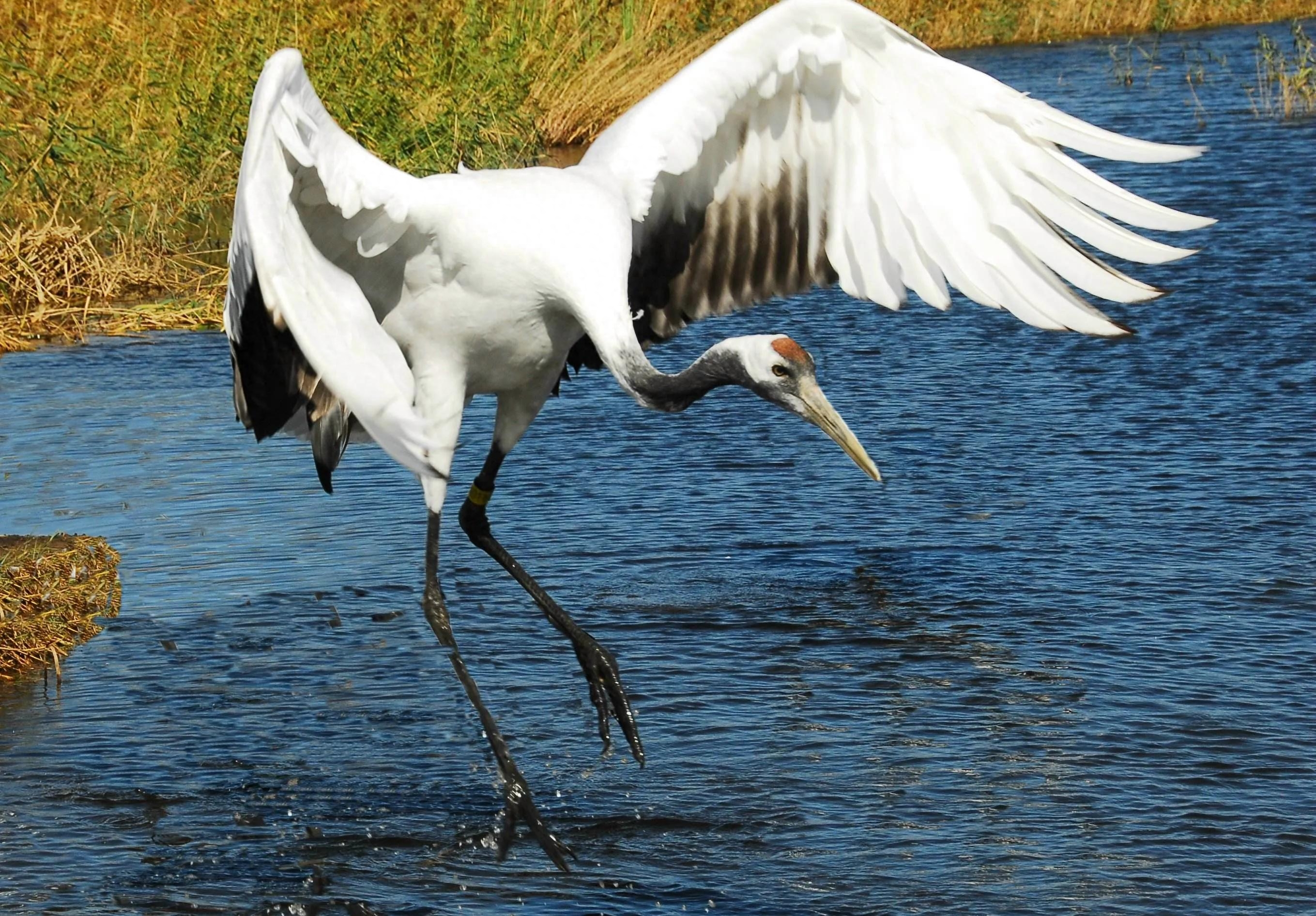 你始终是我红尘中最美的缘(图1)