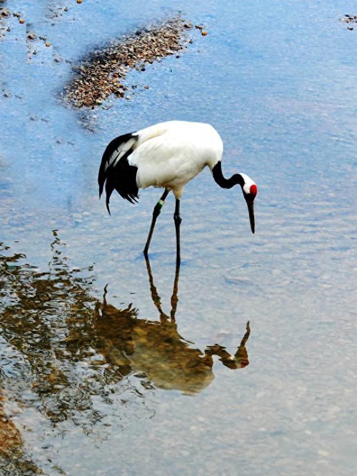 你始终是我红尘中最美的缘(图2)