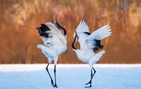 你始终是我红尘中最美的缘(图3)