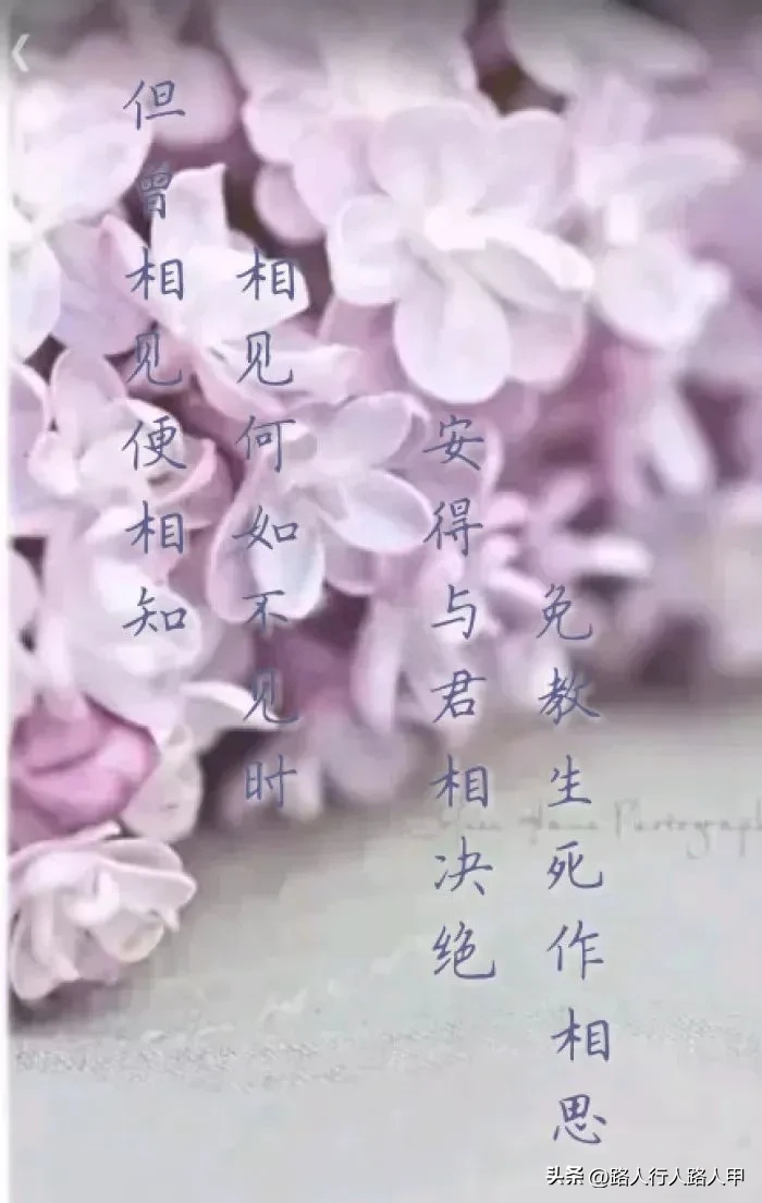 想念情人的高情商短句 相思入骨的经典句子(图1)