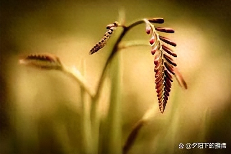 说到心坎里的20句人生感悟句子，经典有深意，句句都是大实话(图2)