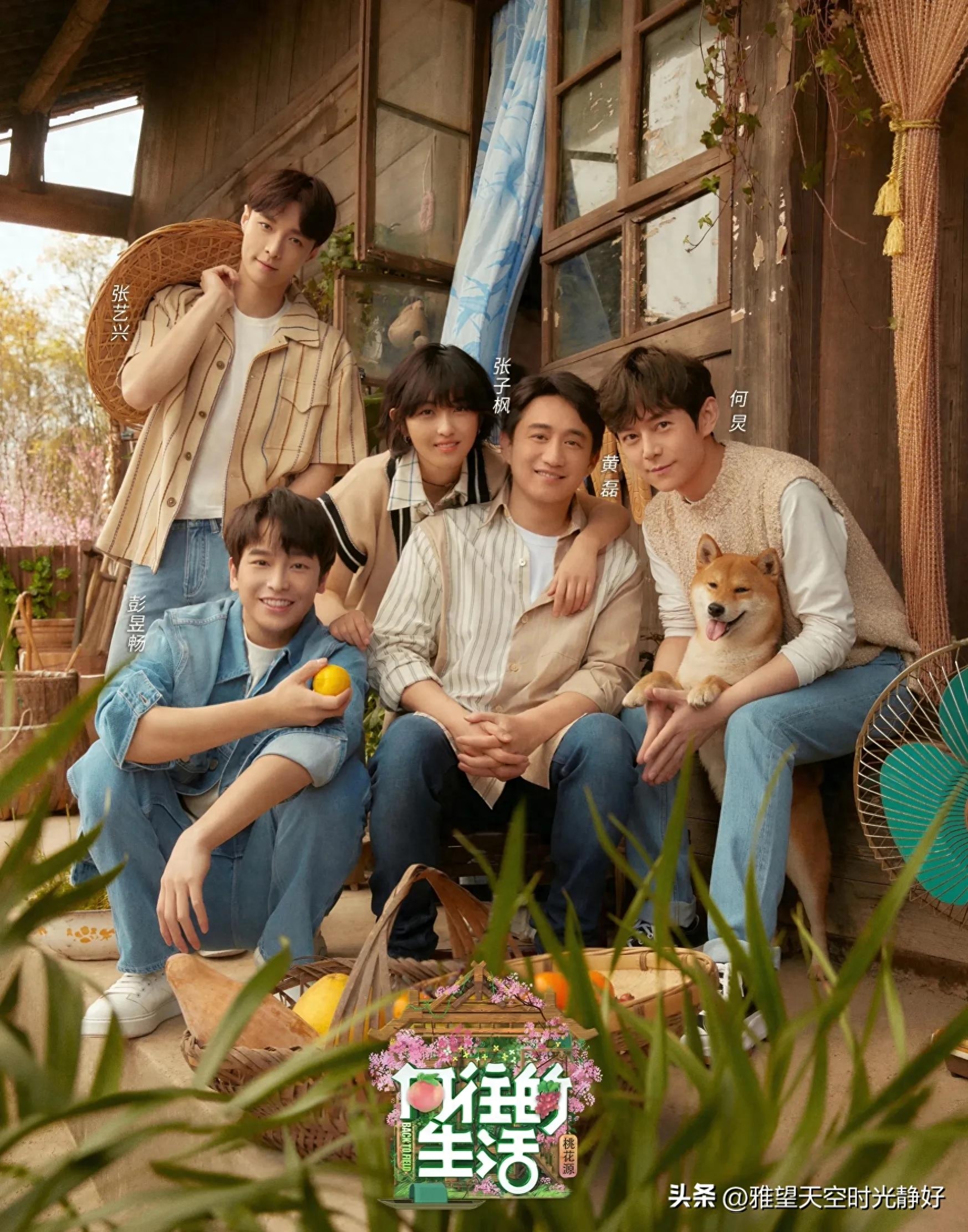 良心慢综艺《向往的生活》人间清醒语录文案(一) 句句温暖人心(图1)