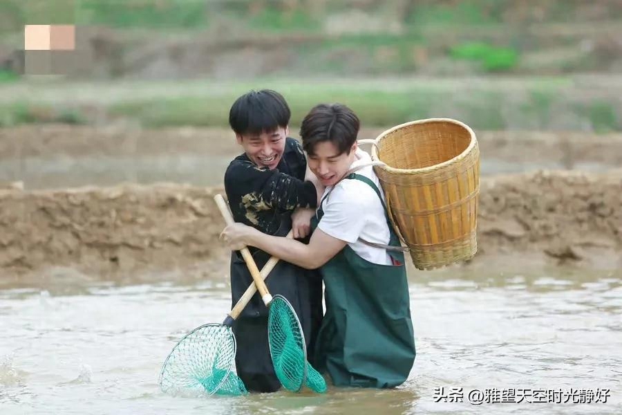 良心慢综艺《向往的生活》人间清醒语录文案(一) 句句温暖人心(图10)