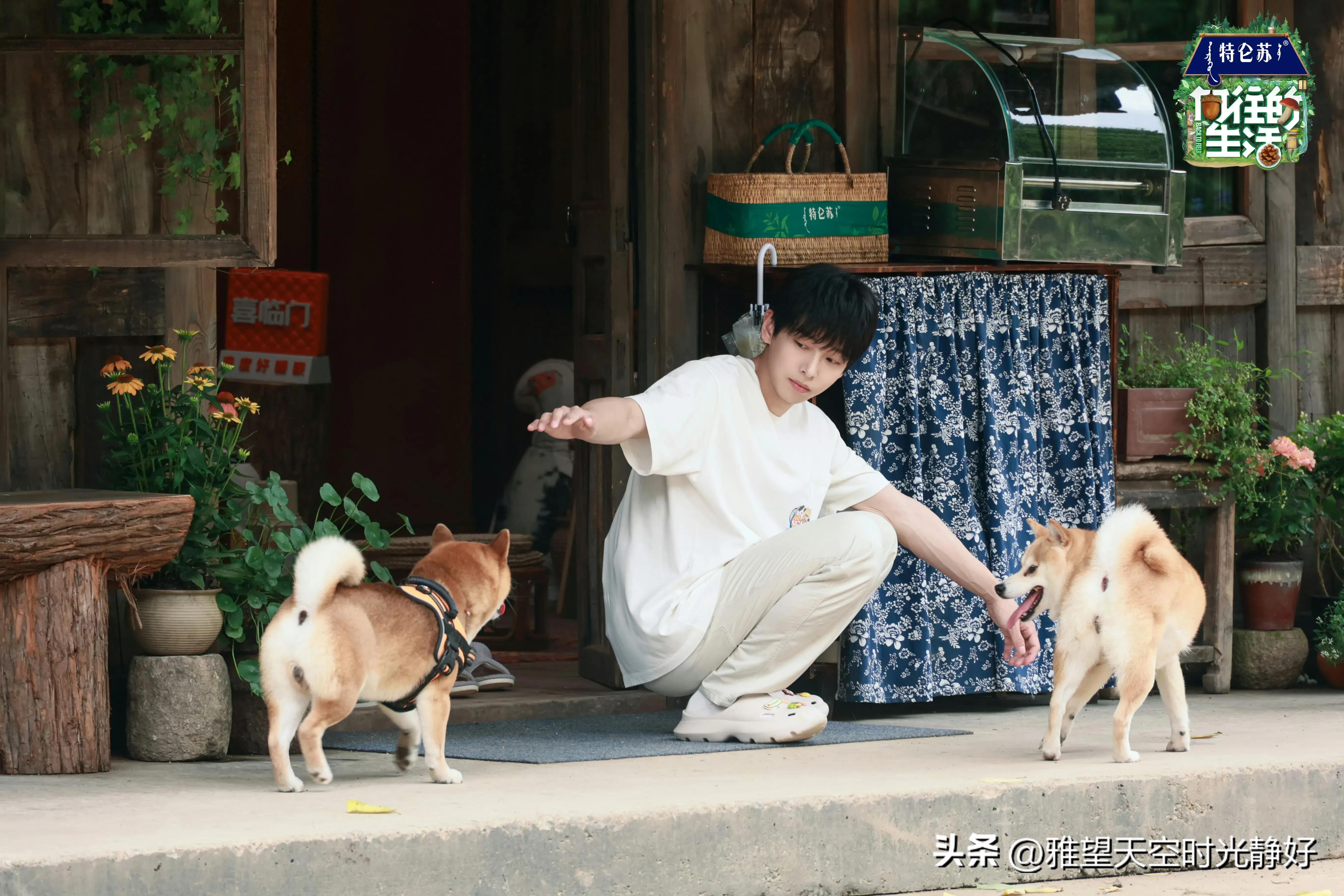 良心慢综艺《向往的生活》人间清醒语录文案(一) 句句温暖人心(图20)