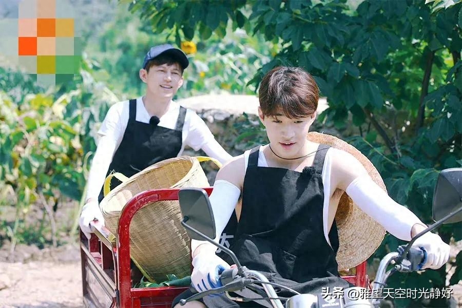 良心慢综艺《向往的生活》人间清醒语录文案(一) 句句温暖人心(图22)