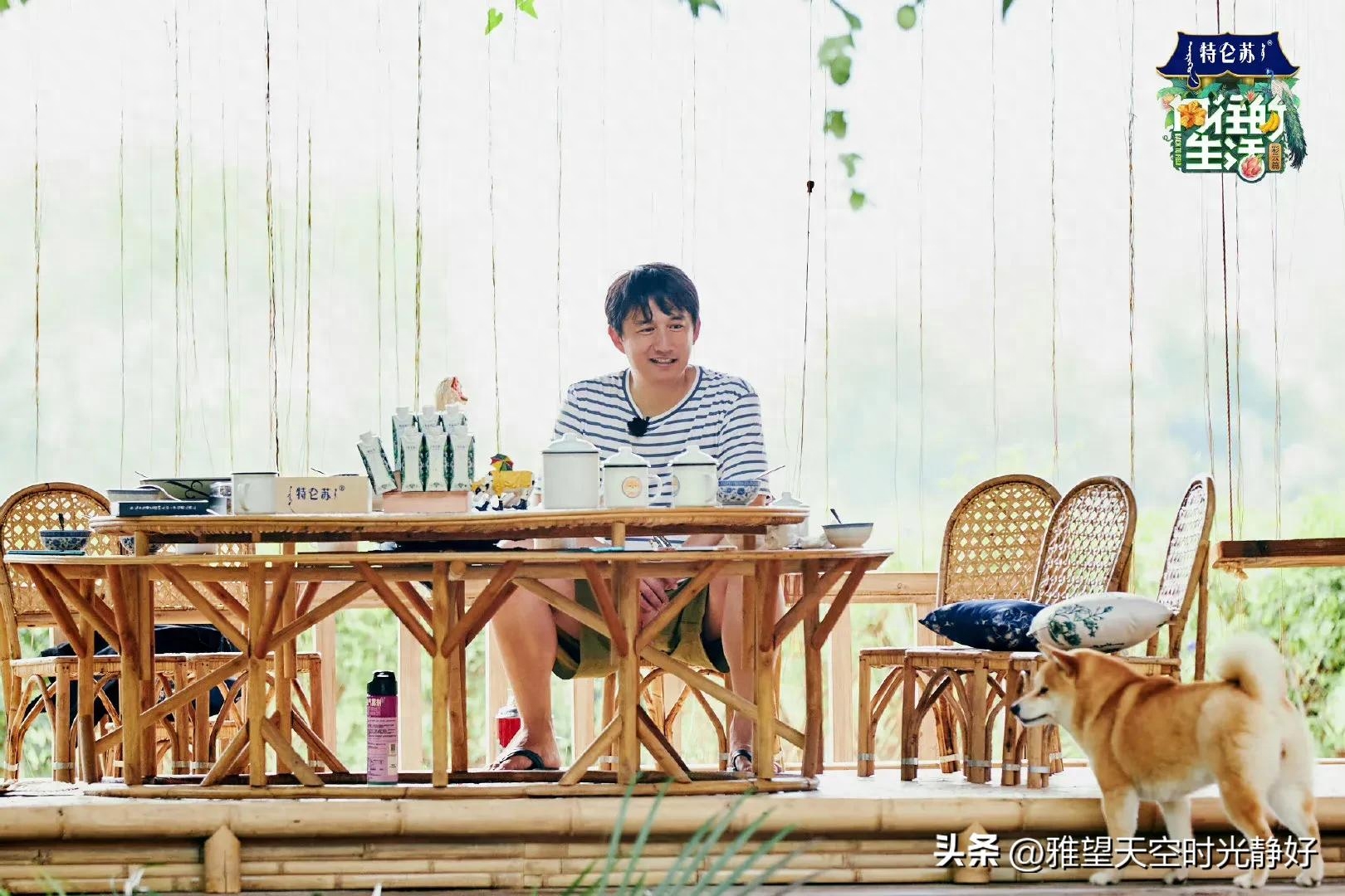 良心慢综艺《向往的生活》人间清醒语录文案(一) 句句温暖人心(图28)