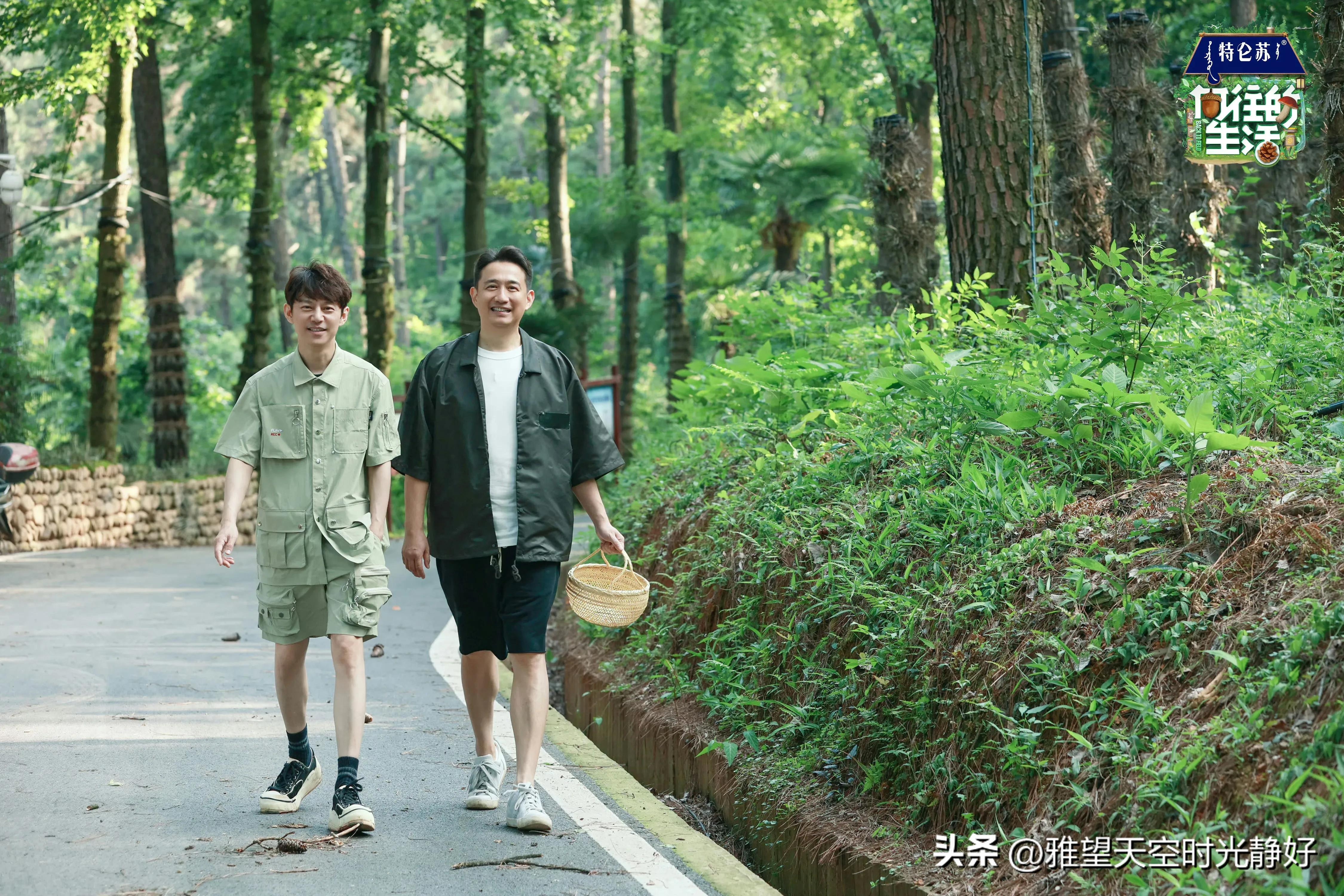 良心慢综艺《向往的生活》人间清醒语录文案(一) 句句温暖人心(图35)