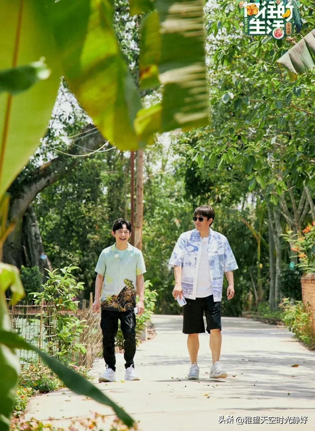 良心慢综艺《向往的生活》人间清醒语录文案(一) 句句温暖人心(图43)