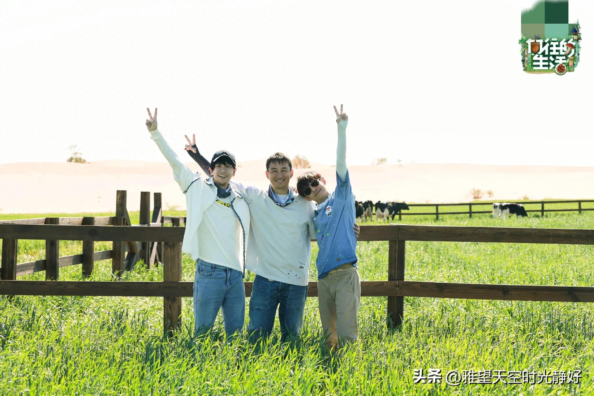 良心慢综艺《向往的生活》人间清醒语录文案(一) 句句温暖人心(图49)