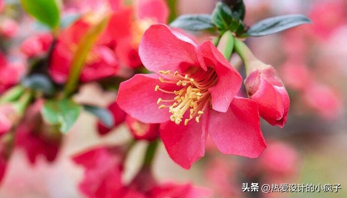 心情语录 / 失去再多，千万不要失去自己(图2)