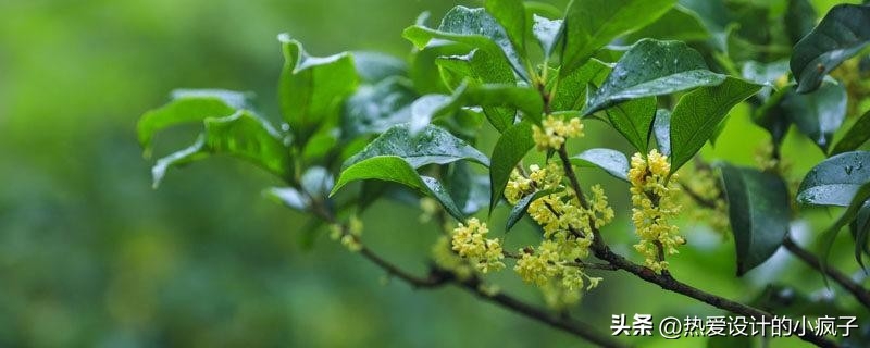 心情语录 / 失去再多，千万不要失去自己(图3)