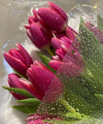 心情悲伤唯美的经典句子，字字伤情，句句碎心！(图2)