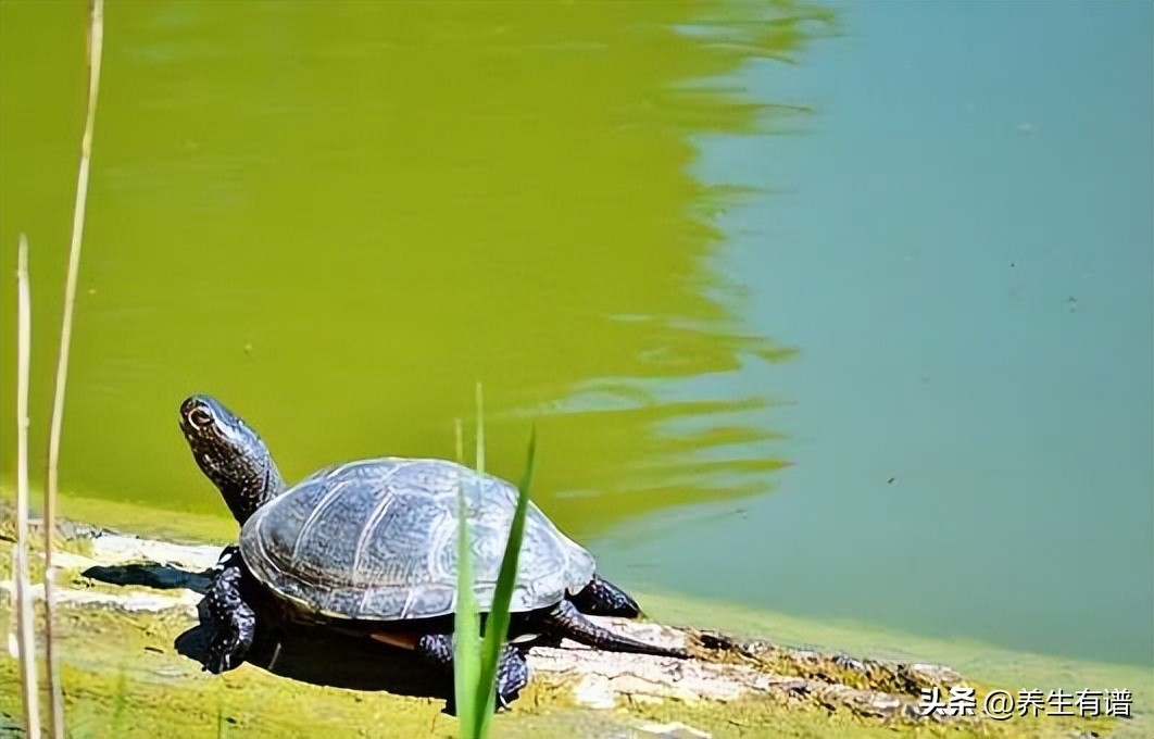 异地恋分手后的伤感说说，句句很真实，送给寂寞的自己(图1)