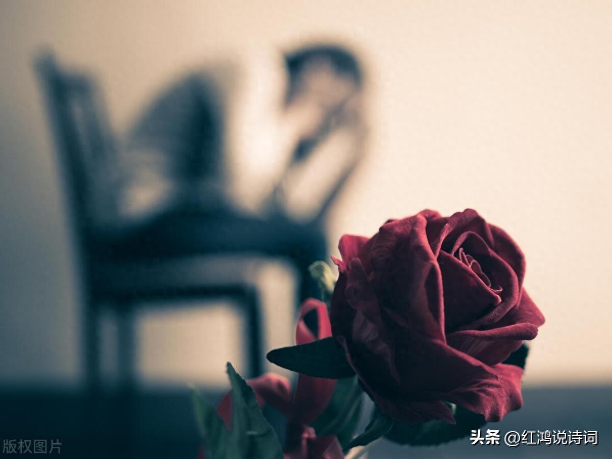 100句表达悲痛的句子 唯将终夜长开眼 报答平生未展眉(图3)