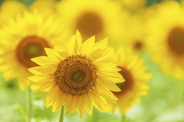 唯美句子短句励志语录(图5)