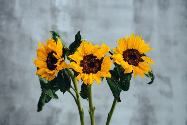 唯美句子短句励志语录(图8)