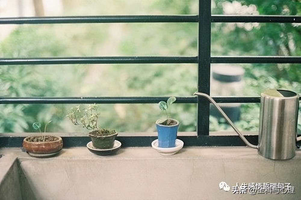 唯美的句子 短的 阳光简短励志唯美句子(图2)