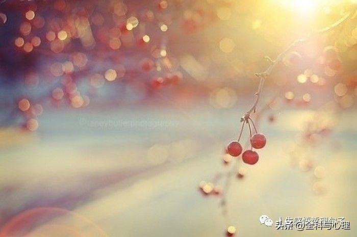 唯美的句子 短的 阳光简短励志唯美句子(图4)