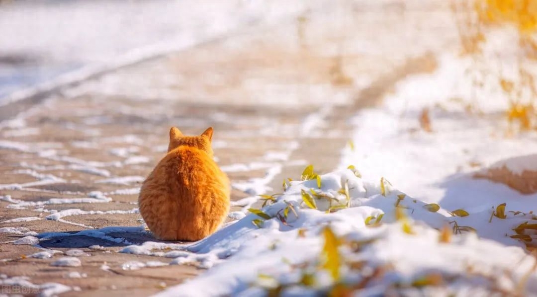 冬日暖阳的唯美治愈短句文案(图2)