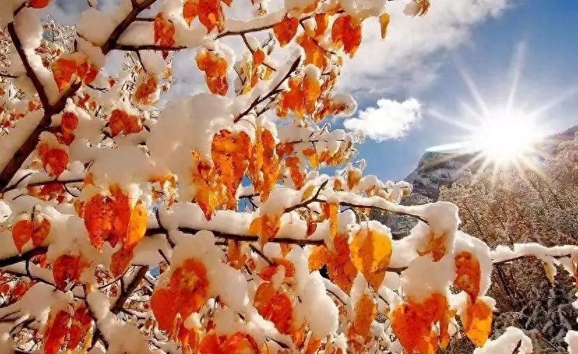 冬日暖阳的唯美治愈短句文案(图4)