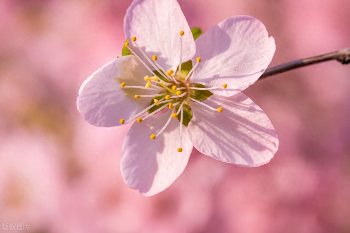 给自己加油鼓劲的句子，以最好的姿态迎接2023年(图2)