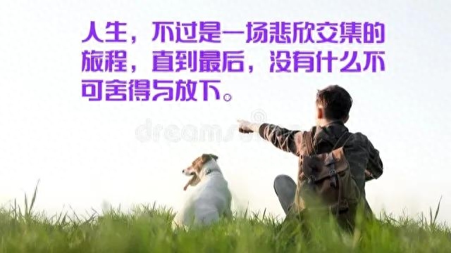 叶子20句经典人生感悟语句摘录（17）(图1)