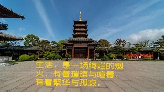 叶子20句经典人生感悟语句摘录（17）(图4)