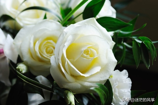 今日语录摘抄｜不是对不起，也不是我恨你，而是，我们再也回不去(图1)