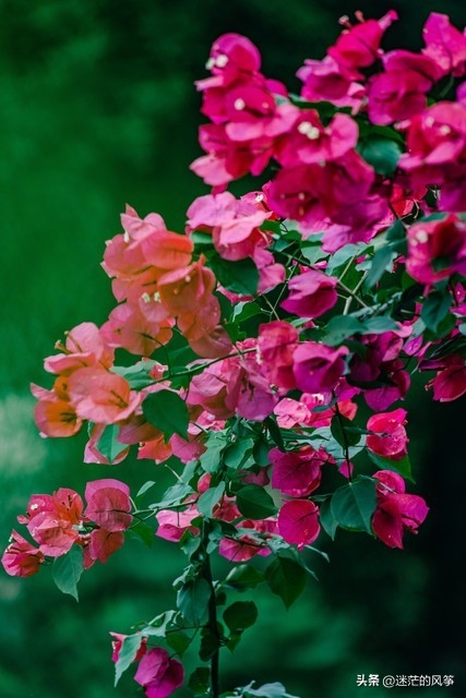 今日语录摘抄｜不是对不起，也不是我恨你，而是，我们再也回不去(图3)