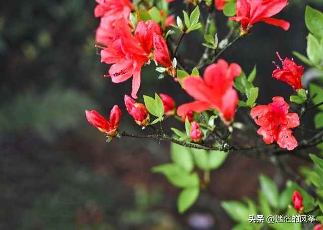 今日语录摘抄｜不是对不起，也不是我恨你，而是，我们再也回不去(图4)