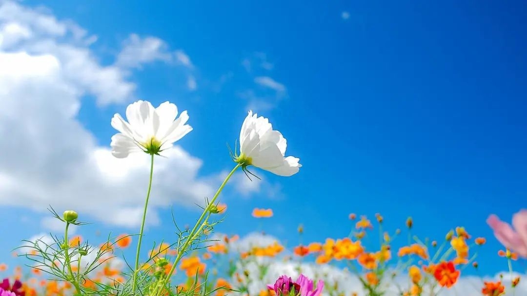 表示爱人不在身边想念的句子：思念如潮，相隔千里也牵挂着(图2)