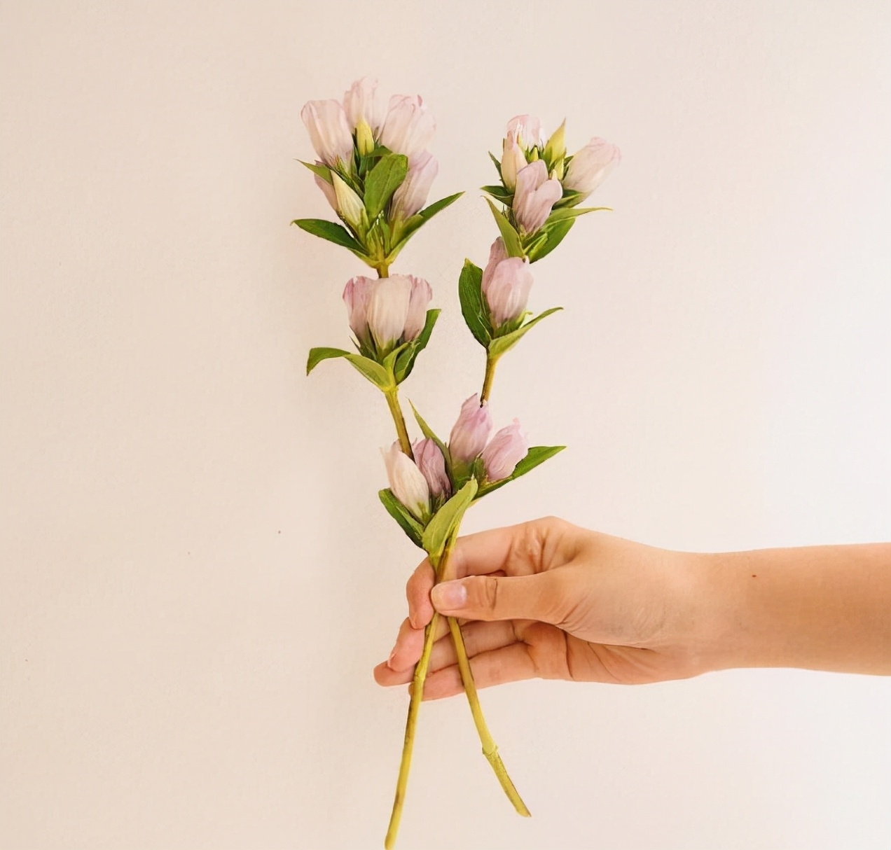 很甜很适合秀恩爱的句子，瞬间俘获女孩的芳心(图6)