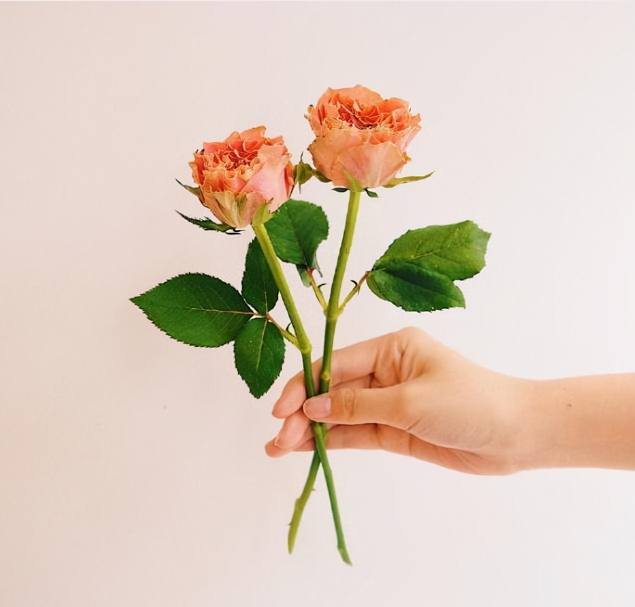 有深度的甜蜜表白情话，瞬间俘获女孩的芳心(图1)