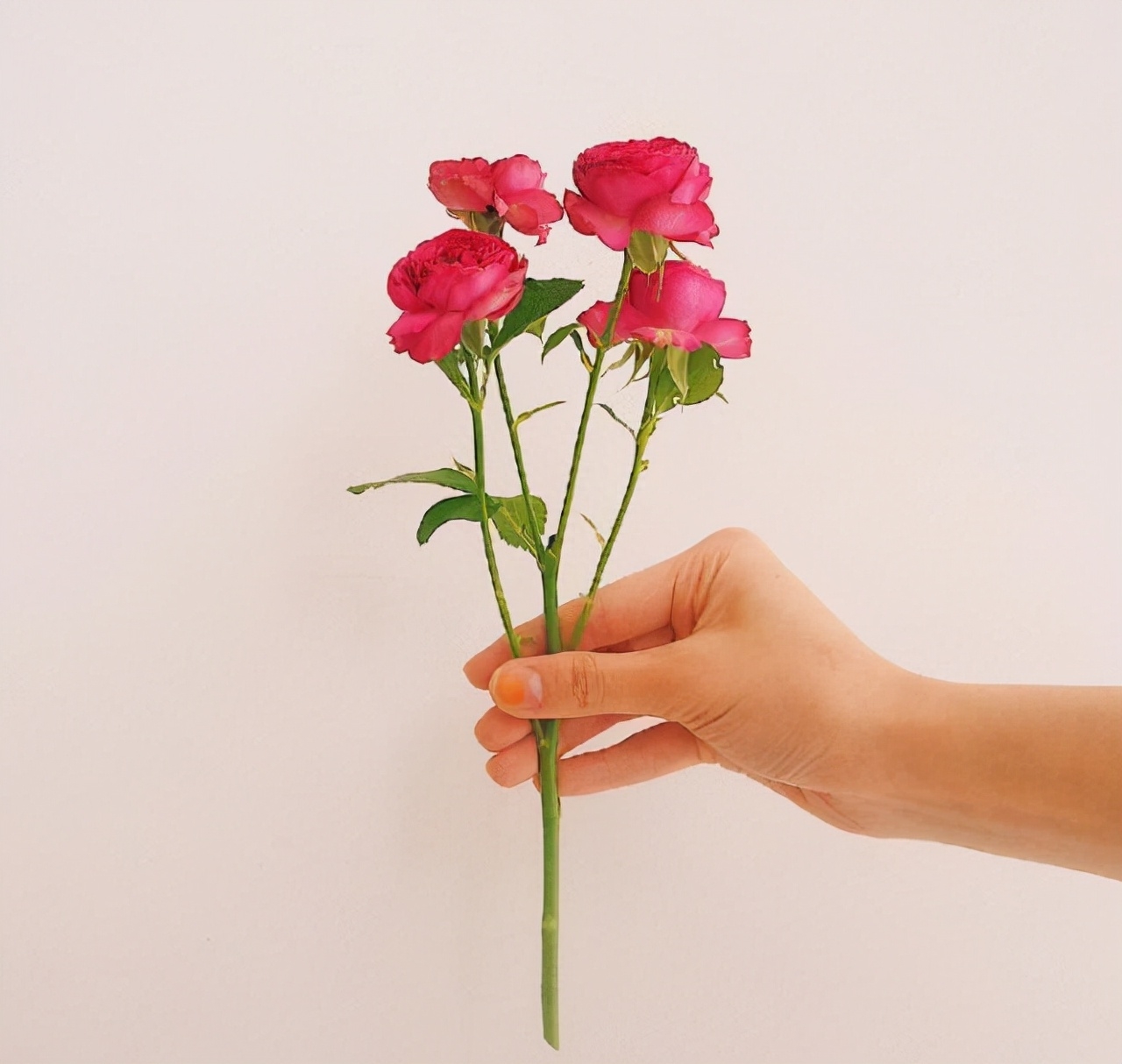 有深度的甜蜜表白情话，瞬间俘获女孩的芳心(图5)