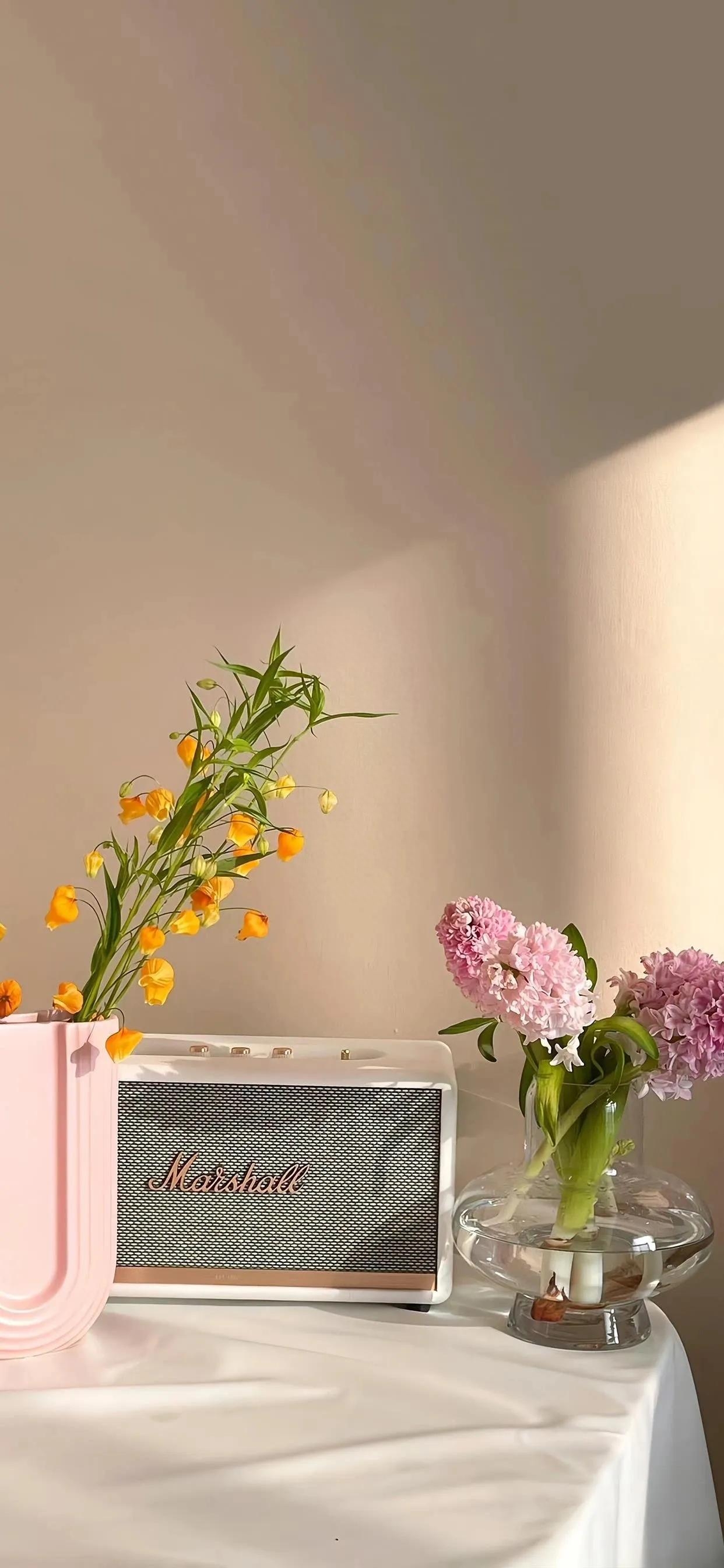 520我爱你，唯美浪漫的句子(图2)