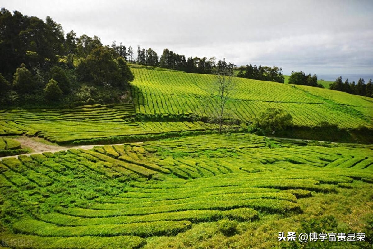 好好爱自己的唯美句子(图2)
