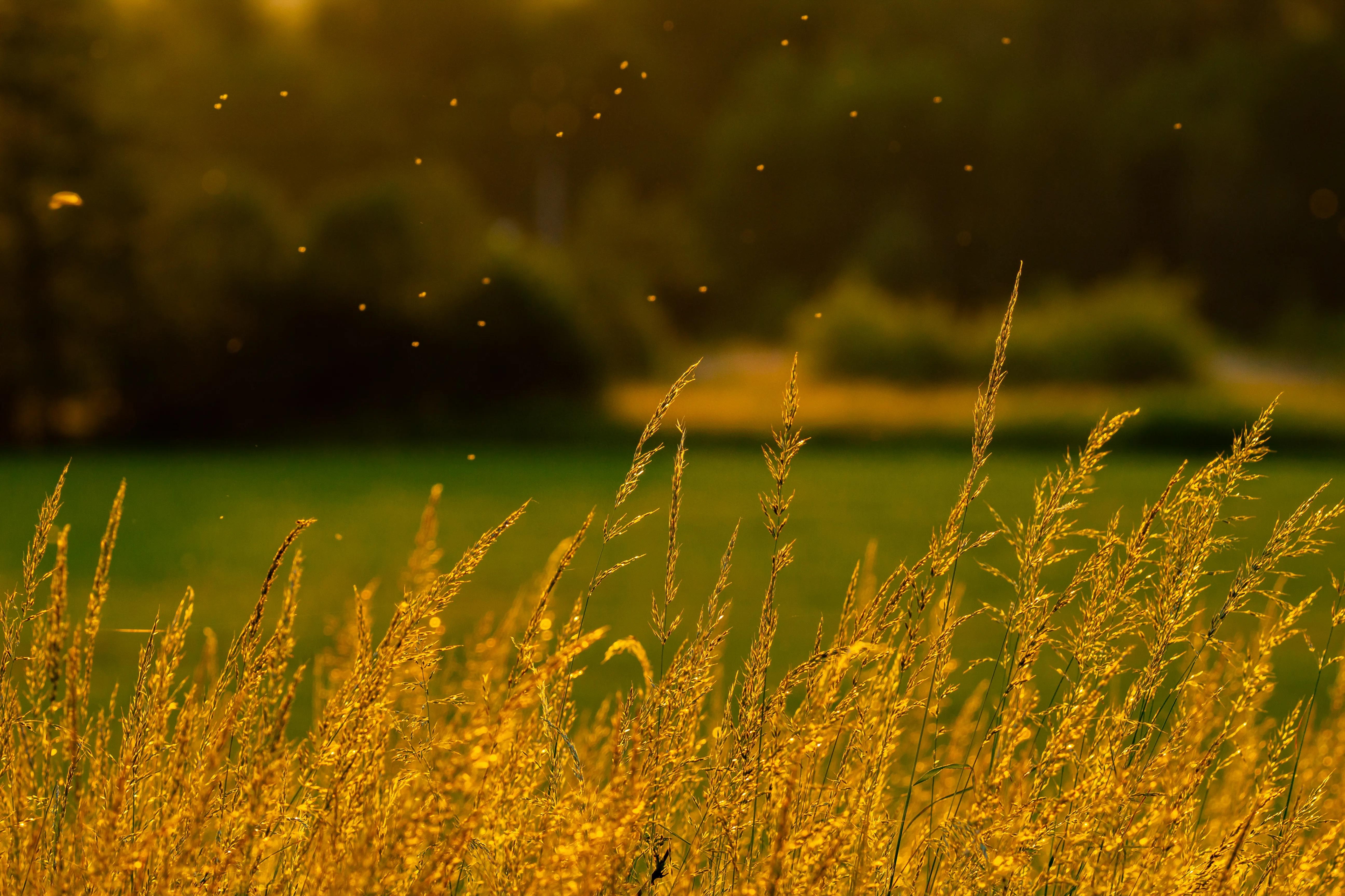 "忍住哭，坚持听完！这些实实在在的句子，会触动你的灵魂！"(图2)