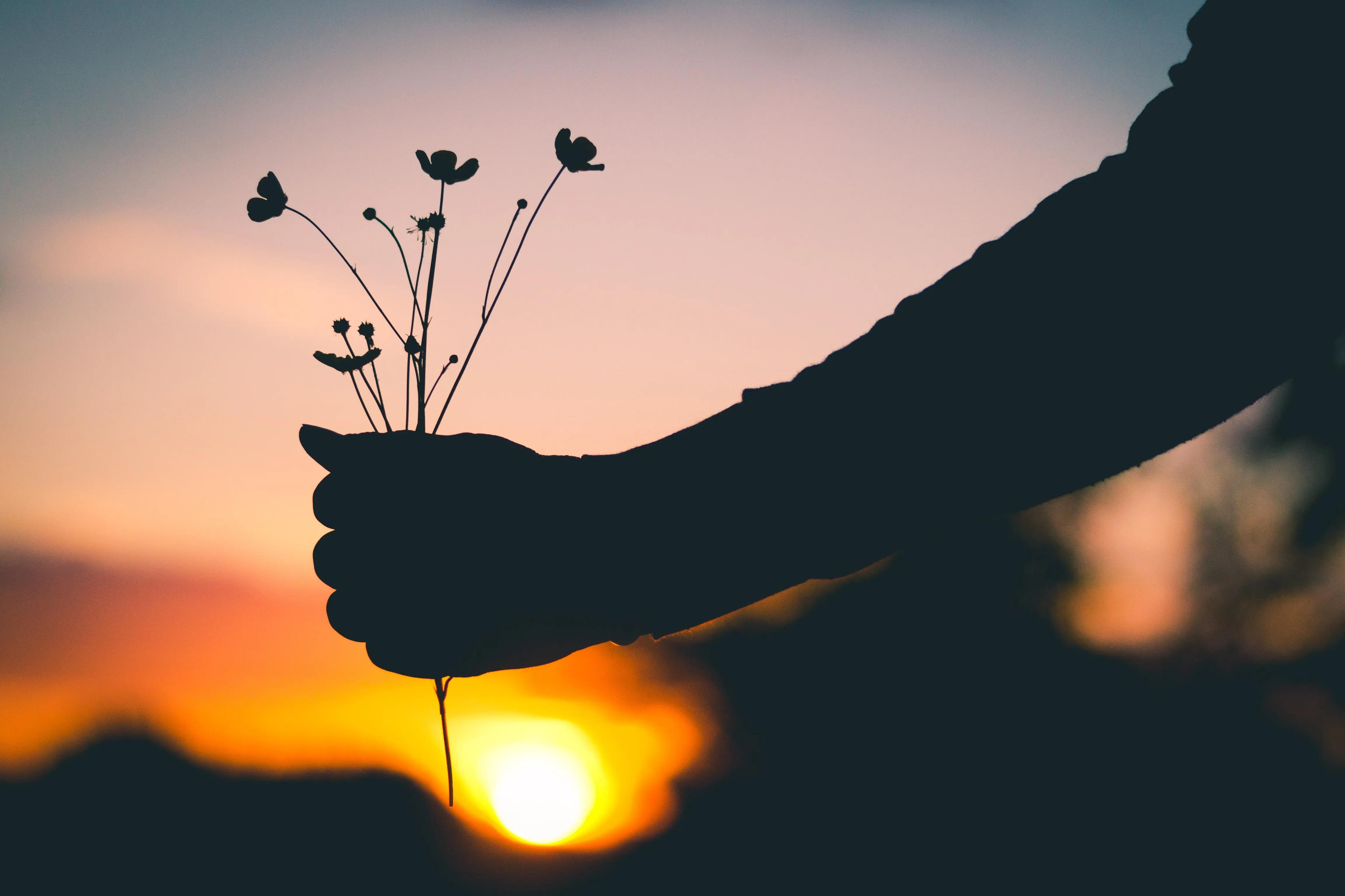 "忍住哭，坚持听完！这些实实在在的句子，会触动你的灵魂！"(图4)