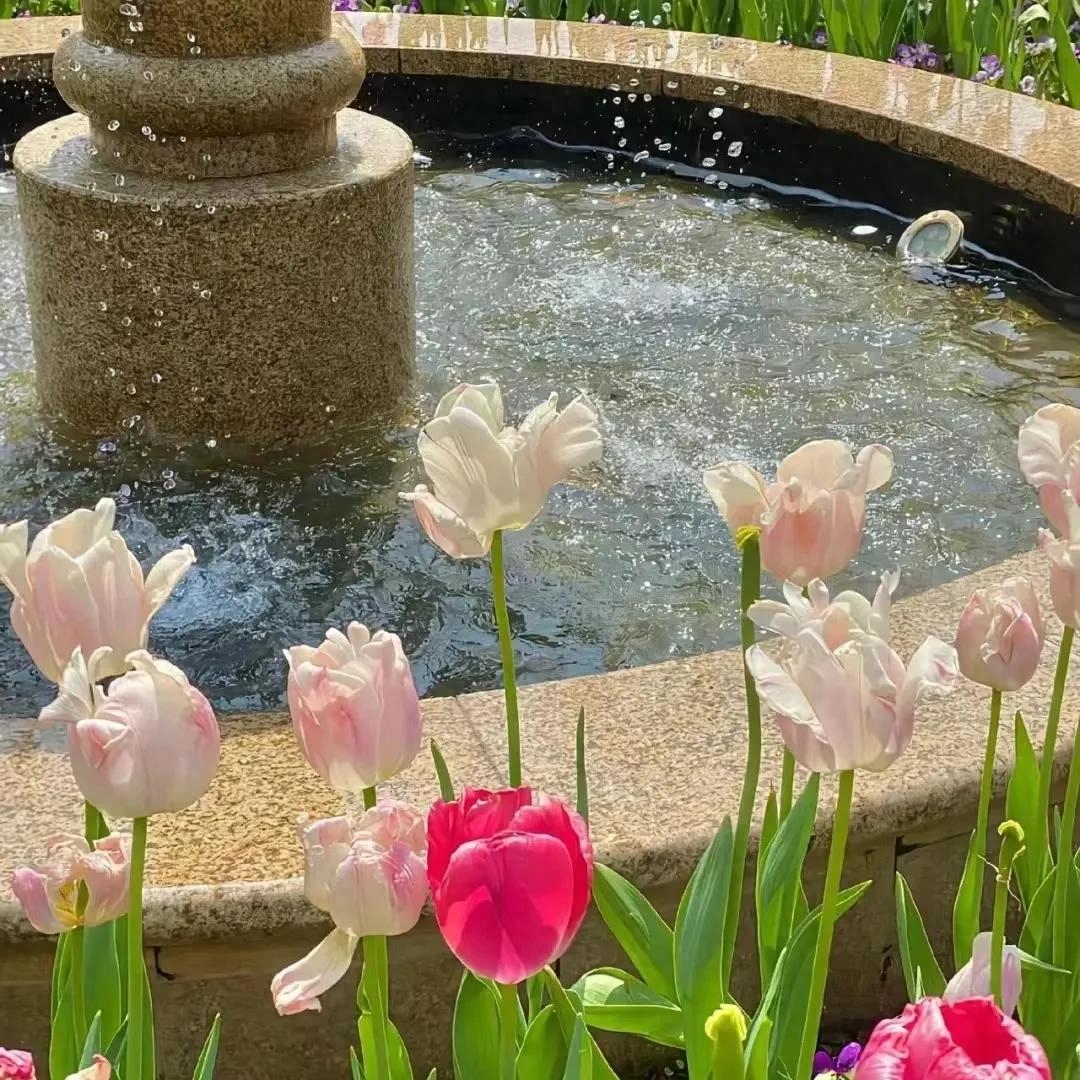 祝福文案暖心句子说说朋友圈：幸福也许会迟到，但永远不会缺席(图3)