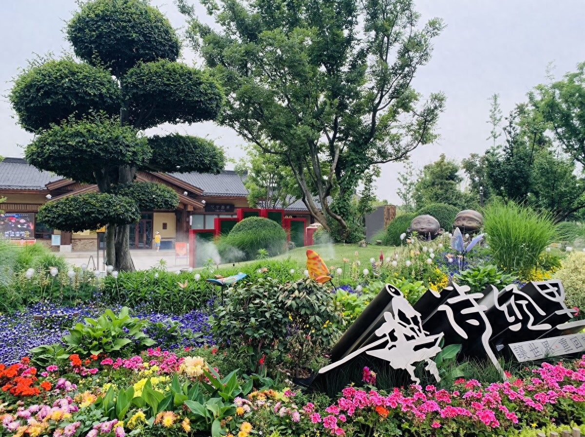 一架葡萄藤，一盏孤灯，一卷诗书，炎炎夏日里如汩汩清泉带来清凉(图3)