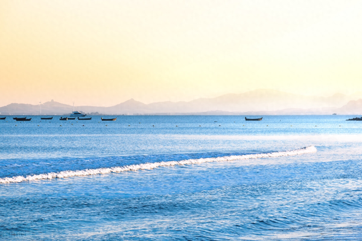 一架葡萄藤，一盏孤灯，一卷诗书，炎炎夏日里如汩汩清泉带来清凉(图4)