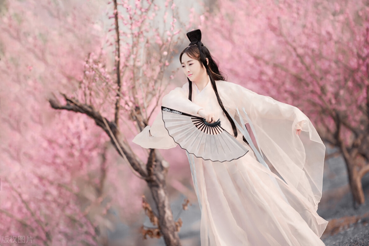 一架葡萄藤，一盏孤灯，一卷诗书，炎炎夏日里如汩汩清泉带来清凉(图5)