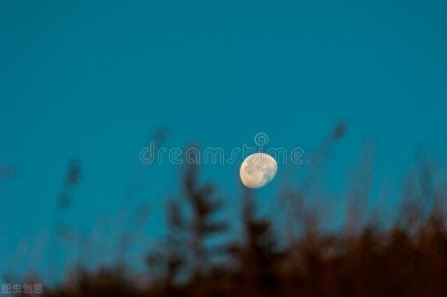 一架葡萄藤，一盏孤灯，一卷诗书，炎炎夏日里如汩汩清泉带来清凉(图8)